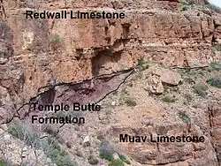 Annotated photo of different colored rock units on a cliff.