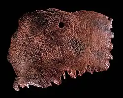 Photograph of the fragment, showing bored hole and inscription.