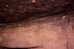 Spanish cave painting of Bulls