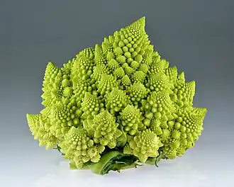 Romanesco broccoli, showing self-similar form approximating a natural fractal