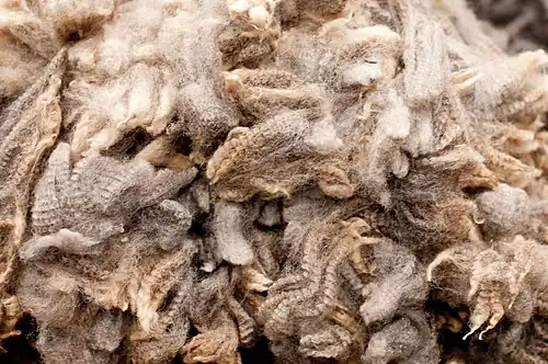 Beige is a very light brown color, taking its name from the French word for the color of natural wool