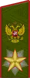 Marshal of the Russian Federation