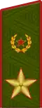 Shoulder strap of an Army General
