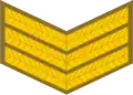Sergeant (South African Army)[100]