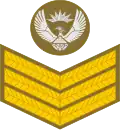 Staff sergeant (South African Army)[48]
