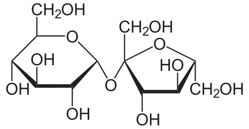 Sucrose is made up of a glucose monomer (left), and a fructose monomer (right).
