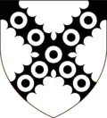 Argent on a saltire engrailed sable nine annulets of the field (Earl of Scarsdale)