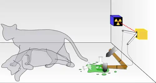 A picture of a cat outline simultaneously standing and lying dead