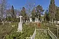 Old city cemetery