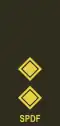 Lieutenant (Seychelles Infantry Unit)[69]