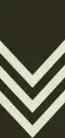 Sergeant (Seychelles Infantry Unit)[98]