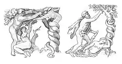 Image on left: Fall and Expulsion, Sistine Chapel ceiling (detail). Image on right: Hercules picking apples in the Garden of Hesperides, engraving of an ancient Roman relief. Sketches by Rebecca Jelbert, after the originals.