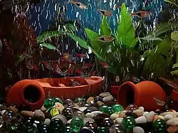 Photo displaying plants, small fish, and tipped-over clay pots