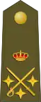 Teniente general[48] (Spanish Army)