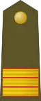 Sargento (Spanish Army)[99]