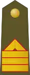 Sargento primero (Spanish Army)[37]