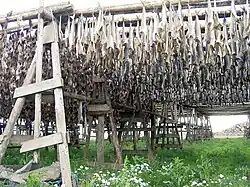Stockfish up for drying in Iceland