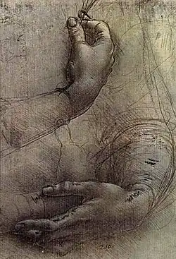 Drawing by Leonardo da Vinci