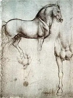 Leonardo's horse in silverpoint, c. 1488[61]