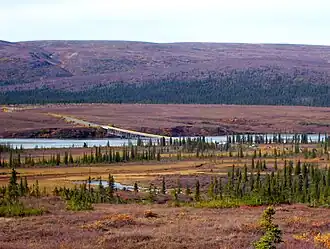 The Susitna River bridge on the Denali Highway is 1,036 feet (316&nbsp;m) long.
