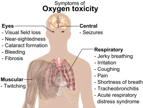A diagram showing a male torso and listing symptoms of oxygen toxicity: Eyes&nbsp;– visual field loss, nearsightedness, cataract formation, bleeding, fibrosis; Head&nbsp;– seizures; Muscles&nbsp;– twitching; Respiratory system&nbsp;– jerky breathing, irritation, coughing, pain, shortness of breath, tracheobronchitis, acute respiratory distress syndrome.