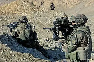 Félin system (1er régiment d'infanterie)