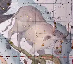 Taurus Poniatovii, constellation originated by Marcin Poczobutt in 1777 to honor the king Stanisław II Augustus[282]