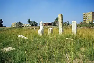 A few columns of white stone in a field with high grasses