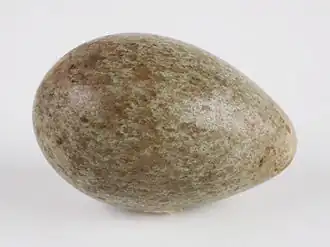 Egg, in the collection of the Children's Museum of Indianapolis