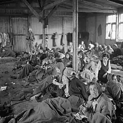 Women suffering from Typhus at Bergen-Belsen concentration camp, shortly after liberation. Typhus rapidly spread in the unhygenic, crowded conditions of concentration camps.