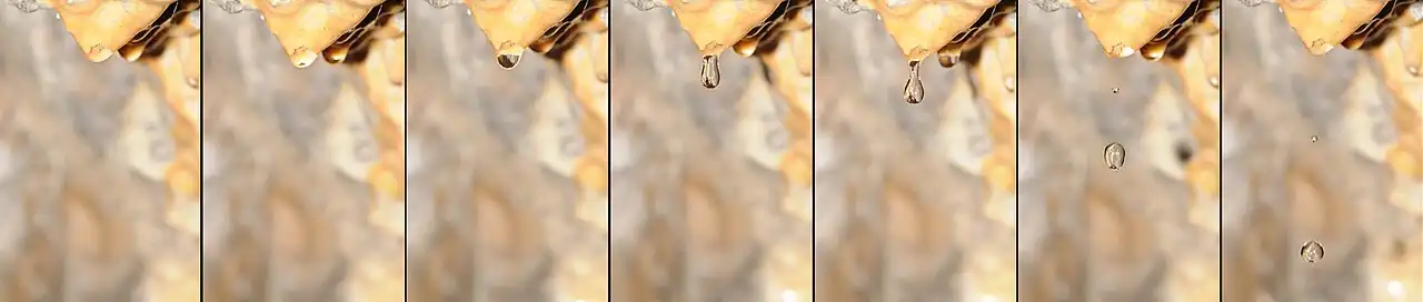 Time-lapse sequence showing a water droplet forming at the tip of a stalactite.