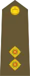 Lieutenant (Tongan Land Component)[78]