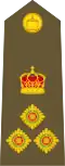 Brigadier (Tongan Land Component)[27]