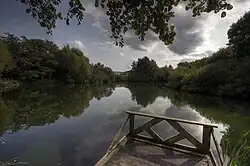 A photograph of a dock in the foreground, a lake, and groups of trees along the horizon line.