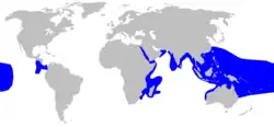 A world map with blue shading around the periphery of the Indian Ocean, throughout Southeast Asia to northern Australia, over a large part of the central Pacific, and off the west coast of Central America.