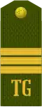 Seržant (Turkmen Ground Forces)[109]