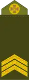 Сержант Serzhant (Ukrainian Ground Forces)[111]