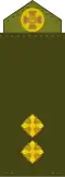 Лейтенант Leitenant (Ukrainian Ground Forces)[82]