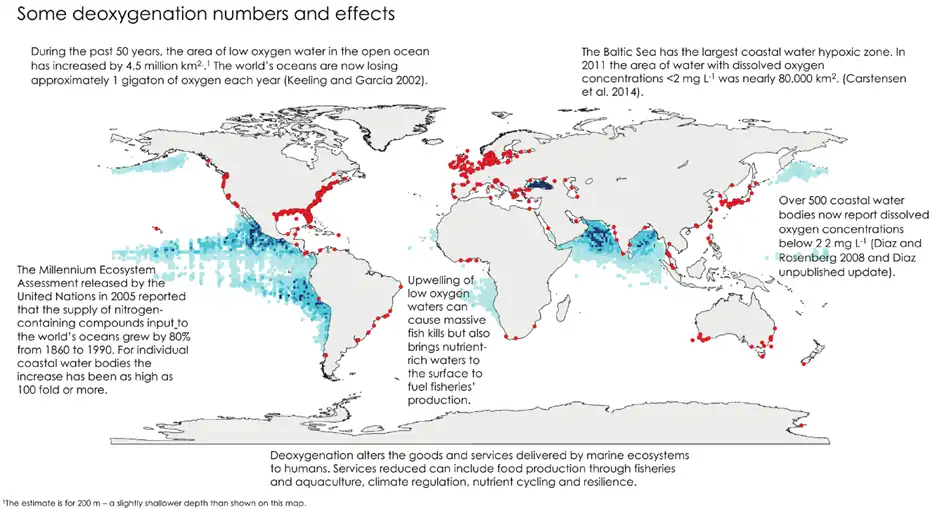 Oxygen minimum zones (OMZs) (blue) and areas with coastal hypoxia (red) in the world's ocean[59]