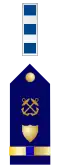 U.S. Coast Guard chief warrant officer 4 rank insignia
