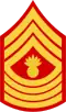 Master Gunnery Sergeant