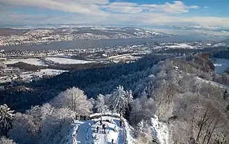 View from the top of the observation tower at Uetliberg