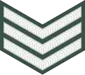 Sergeant (Ugandan Land Forces)[110]