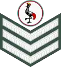 Staff sergeant (Ugandan Land Forces)[52]
