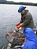 Small-scale crab fishing