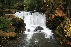 A waterfall surrounded by forest