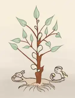 Color drawing of a shrub with oval, entire leaves showing incisions on the trunk from which whitish resin droplets exude. Behind the plant, a running dog, and to the right, a woman's face, both holding a piece of resin.