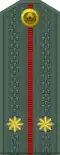 Leytenant (Uzbek Ground Forces)[86]