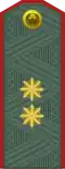 General-leytenant[59] (Uzbek Ground Forces)