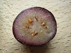 A cut blueberry showing how, having been frozen and then thawed, the anthocyanins in the pericarp can run into the damaged cells, staining the flesh.